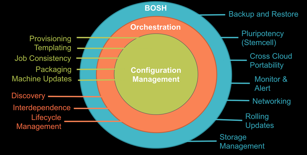 bosh features